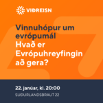 Vinnuhópur um evrópumál: Hvað er Evrópuhreyfinging að gera?
