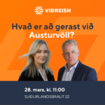 Vöfflukaffi - Hvað er að gerast við Austurvöll?